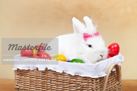 Closeup of cute easter bunny sitting in basket with colorful eggs