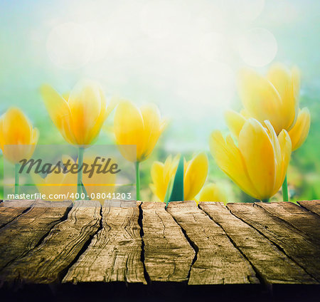 Easter background with tabletop. Spring Flowers background. Wood table with tulips