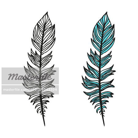 Doodling hand drawn amazing feathers with patterns, contour and colorful, vector illustration
