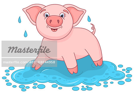 Vector illustration of cute pig in a puddle, funny piggy standing on water puddle