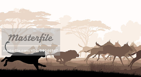 EPS8 editable vector cutout illustration of lions chasing a herd of wildebeest with all figures as separate objects