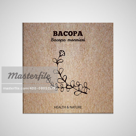 Herbs and Spices Collection - Bacopa.  Hand-sketched herbal element on cardboard background. Suitable for ads, signboards, packaging and identity designs