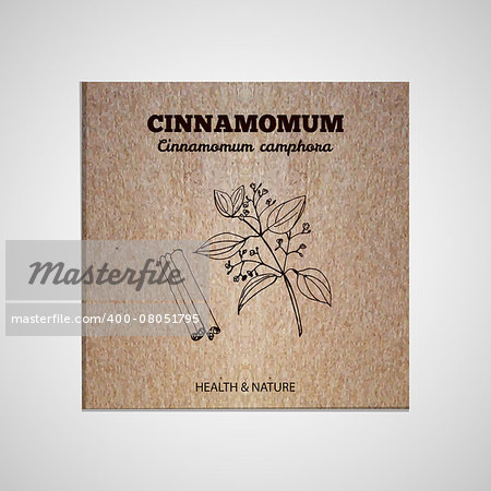 Herbs and Spices Collection - Cinnamomum.  Hand-sketched herbal element on cardboard background. Suitable for ads, signboards, packaging and identity designs