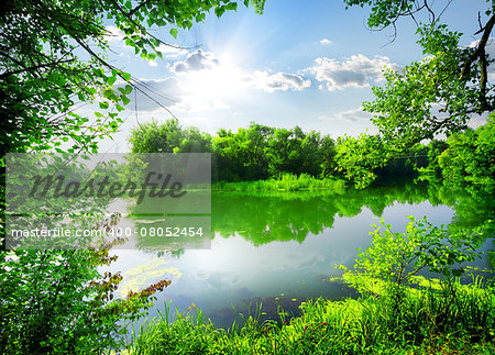Green spring on a silent river at sunny day