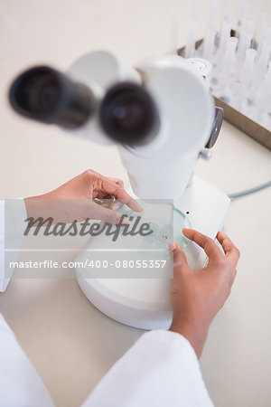 Scientist examining petri dish under microscope in laboratory