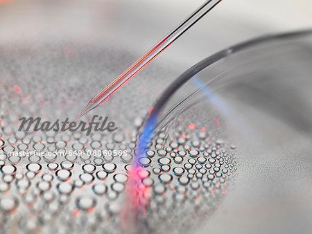 Stem cell research, nuclear transfer of embryonic stem cells from petri dish used in cloning for medical research Stem cell research, nuclear transfer of embryonic stem cells from petri dish used in cloning for medical research