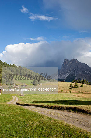 Dirt track and distant mountains, Dolomites, Plose, South Tyrol, Italy