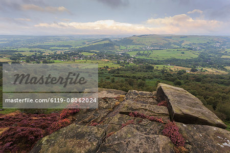 Heather on Curbar Edge at dawn, with view towards Curbar and Calver, late summer, Peak District, Derbyshire, England, United Kingdom, Europe Heather on Curbar Edge at dawn, with view towards Curbar and Calver, late summer, Peak District, Derbyshire, England, United Kingdom, Europe