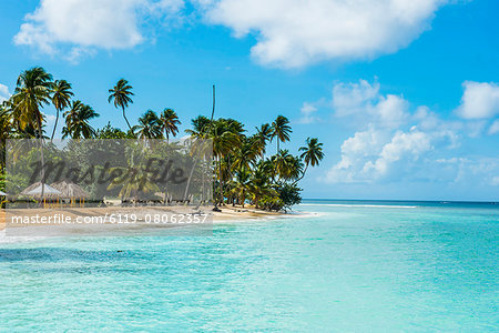 Sandy beach and palm trees of Pigeon Point, Tobago, Trinidad and Tobago, West Indies, Caribbean, Central America