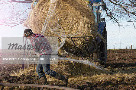 Boy removing netting from hay stack in dairy farm field