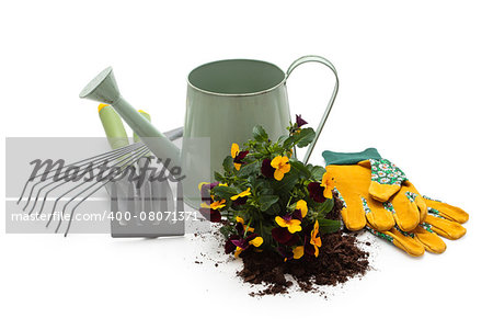 Watering can, flowers, protective gloves and equipment for gardening. Isolated on white background.