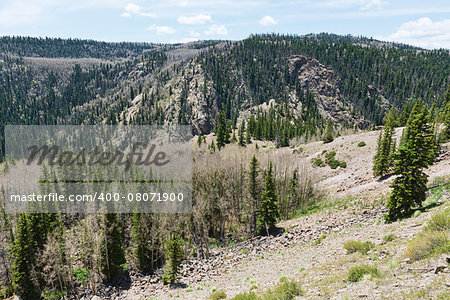 Mountain vista in northern New Mexico