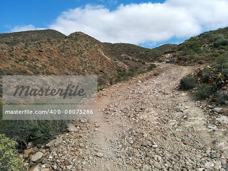 Rocky landscape of Tenerife. Canary Islands. Spain