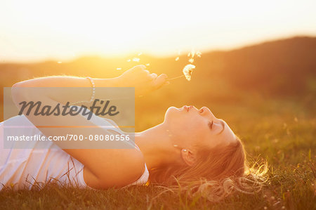 Young woman holding a dandelion in her hand lying on a meadow at sunset in spring, Germany