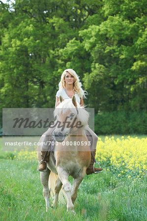 Young woman riding a Haflinger horse in meadow in spring, Bavaria, Germany