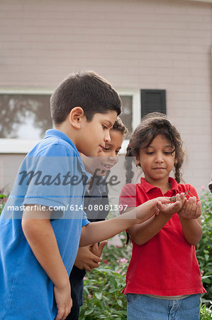 Children observing grasshopper in garden