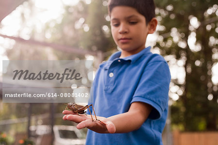 Boy observing grasshopper in garden
