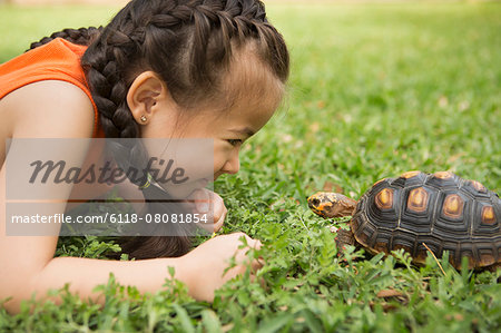 A girl lying on the grass looking at a tortoise.