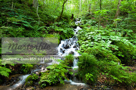 Aomori Prefecture, Japan