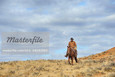 Cowboy Riding Horse, Shell, Wyoming, USA