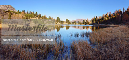 Laghi di Colbricon in Autumn, Passo Rolle, Parco Naturale Paneveggio Pale di San Martino, Trento District, Trentino-Alto Adige, Dolomites, Alps, Italy