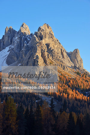 Cadini di Misurina with Forest in Autumn Foliage, Cadore, Belluno District, Veneto, Dolomites, Alps, Italy