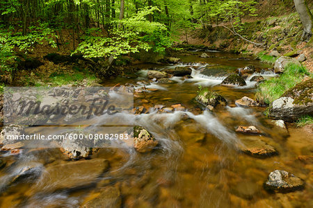 Ilse, Ilse Valley. Heinrich Heine Trail, Ilsenburg, Harz National Park, Harz, Saxony-Anhalt, Germany