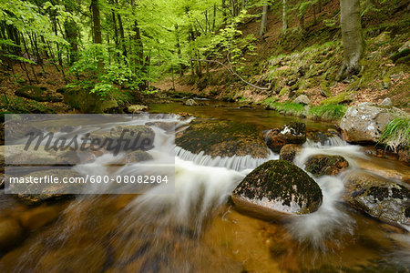 Ilse, Ilse Valley. Heinrich Heine Trail, Ilsenburg, Harz National Park, Harz, Saxony-Anhalt, Germany