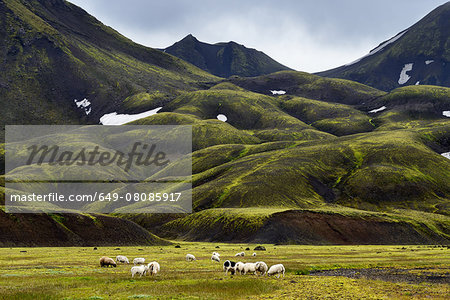 Landmannalaugar, Highlands of Iceland Landmannalaugar, Highlands of Iceland