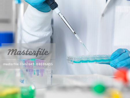 Scientist pipetting sample into multi well tray for analytical testing in laboratory