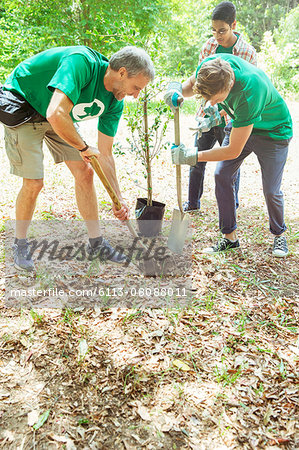 Environmentalist volunteers planting new tree