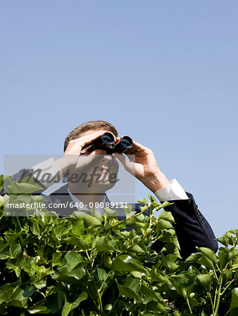 man looking over a hedge with binoculars