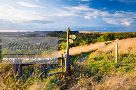 United Kingdom, England, North Yorkshire, Sutton Bank. A signpost on the Cleveland Way.