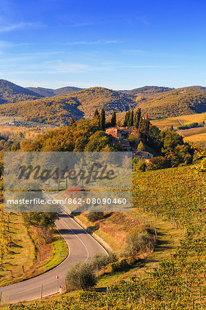 Italy, Italia. Tuscany, Toscana. Firenze district. Chianti. Greve in Chianti