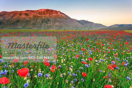 Italy, Umbria, Perugia district, Monti Sibillini NP, Norcia, Castelluccio.