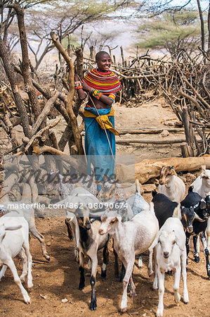 Kenya, Marsabit County, Lasien. A Samburu girl in all her finery at the entrance to her familys well at Lasien after watering their goats. The wooden stockade has been erected to prevent elephants destroying the wells.