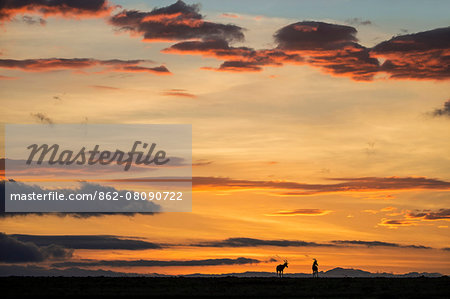 Africa, Kenya, Narok County, Masai Mara National Reserve. Silhouetted Topi at sunrise