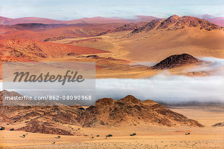 Africa, Namibia, Namib Desert, Sossusvlei. The arid landscape of Sossusvlei.