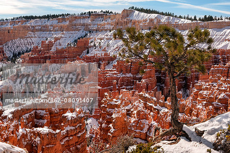 U.S.A., Utah, Bryce Canyon National Park