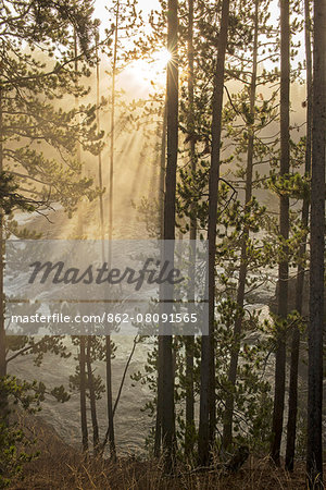 USA, Wyoming, Rockies, Rocky Mountains, Yellowstone, National Park, UNESCO, World Heritage, rising sun along Yellowstone river USA, Wyoming, Rockies, Rocky Mountains, Yellowstone, National Park, UNESCO, World Heritage, rising sun along Yellowstone river