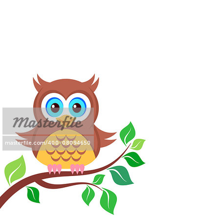 Cute colorful owl on the branch white background