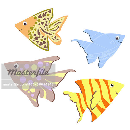 collection of color Fish