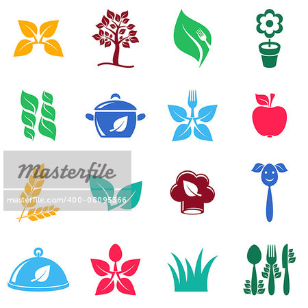Colorful vector vegetarian organic food icons set isolated