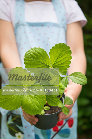Girl gardening, holding potted plant