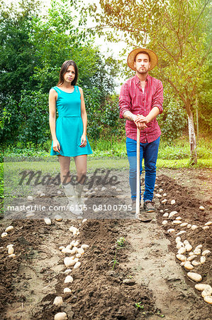 Young couple harvesting potatoes in vegetable garden