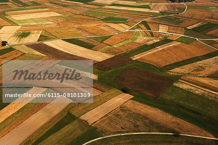 Aerial view of corn fields, Croatia