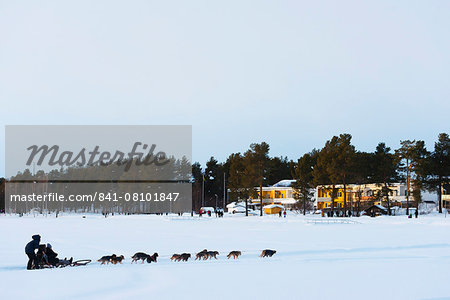 Dog sledding, Jokkmokk, Lapland, Arctic Circle, Sweden, Scandinavia, Europe