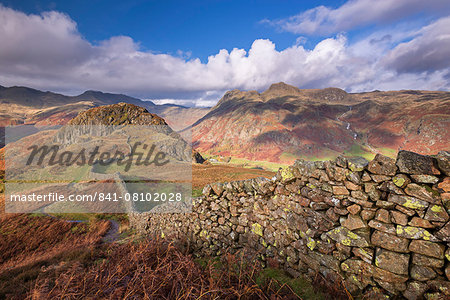 Drystone wall near the Langdale Valley in autumn in the Lake District National Park, Cumbria, England, United Kingdom, Europe