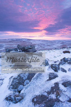 Beautiful sunrise in winter over a frozen snow covered moorland, Belstone Tor, Dartmoor, Devon, England, United Kingdom, Europe