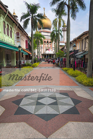 Road leading to the Sultan Mosque in the Arab Quarter, Singapore, Southeast Asia, Asia